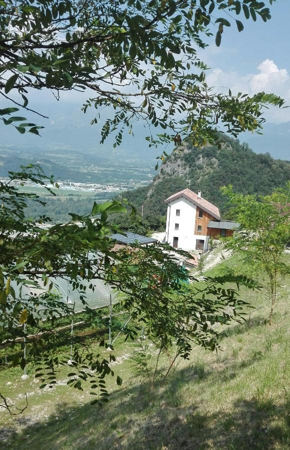 Bauernhof Saetta Lentiai